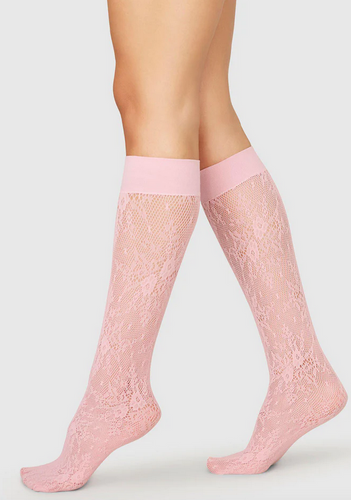 ROSA Lace Pink Knee High Socks