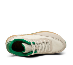 top view of white and green sneaker